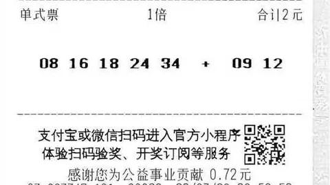 朱总魅力大发彩票避坑：十分钟深度解析 朱总风采深度解析指南